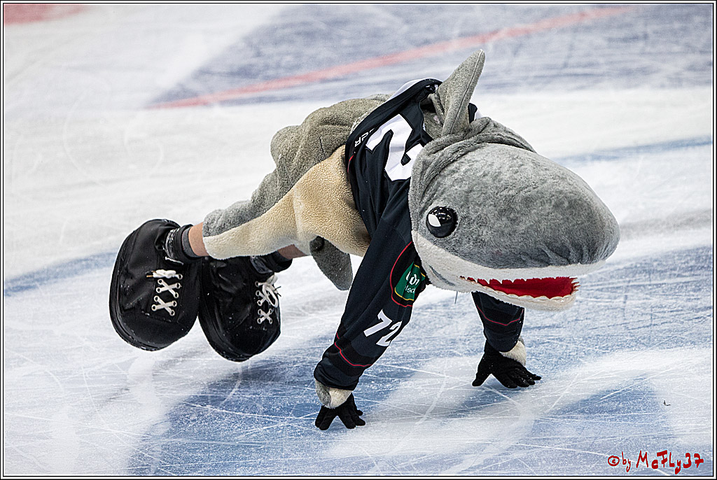 DEL, Koelner Haie - Nuernberg Ice Tiger, 24.01.2017